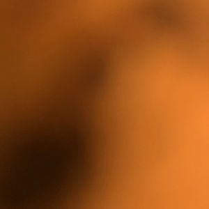 Meet your Posher, Peg